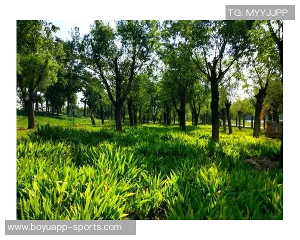 奥特古德温刻苦训练成效显著期待他未来更精彩的表现 奥特古德温刻苦训练成效显著期待他未来更精彩的表现